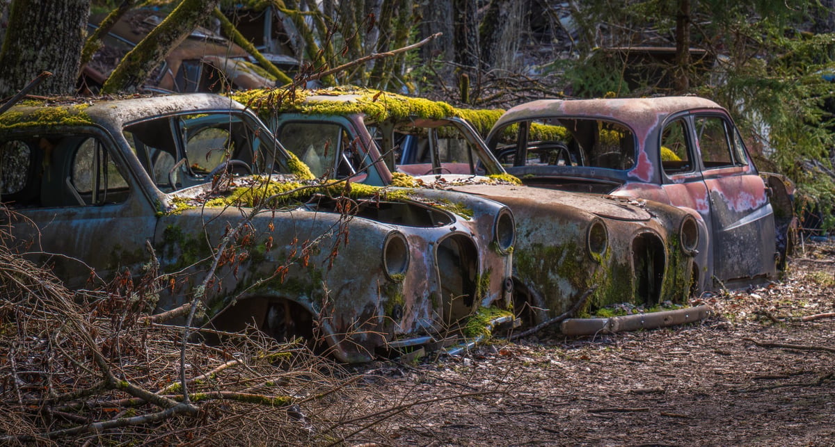 Carros abandonados oxidados en depósito forestal